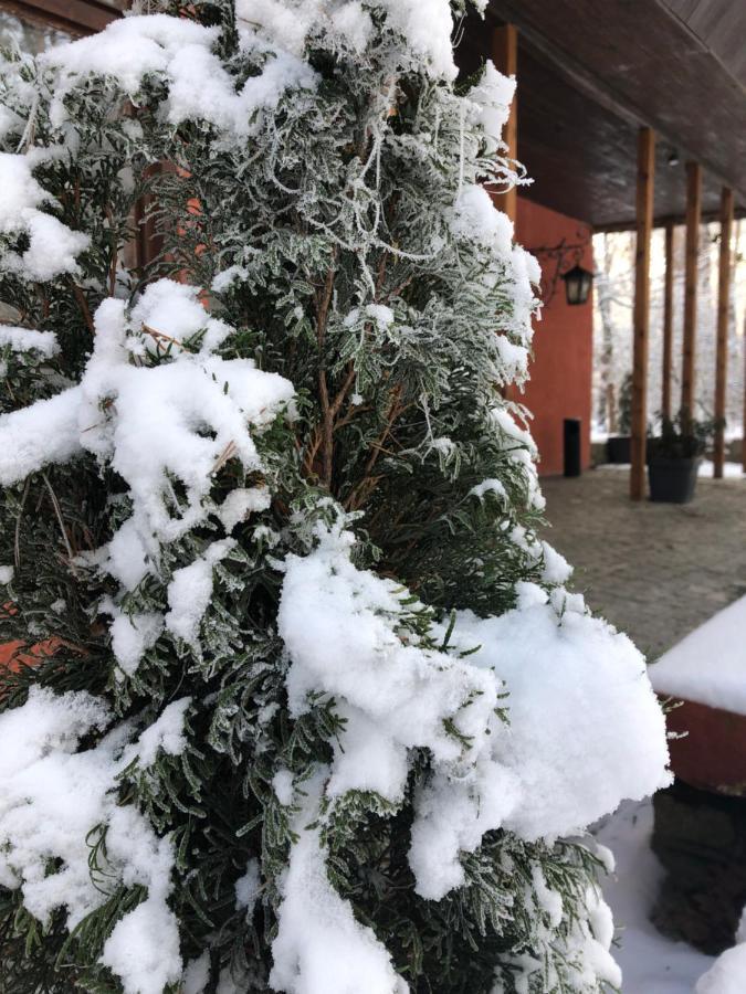 Hotel Osrodek Wypoczynkowy Wrzos Steszewko Pobiedziska Zewnętrze zdjęcie