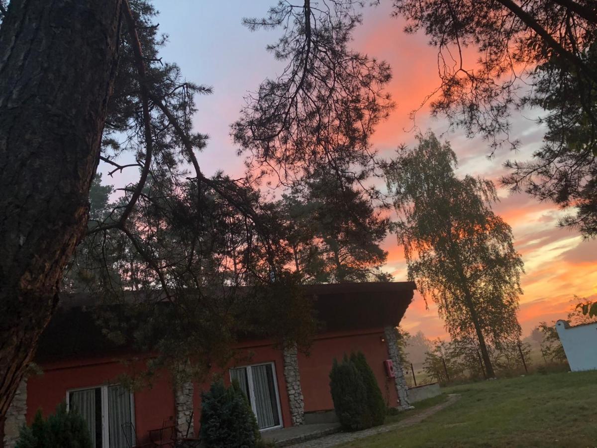 Hotel Osrodek Wypoczynkowy Wrzos Steszewko Pobiedziska Zewnętrze zdjęcie